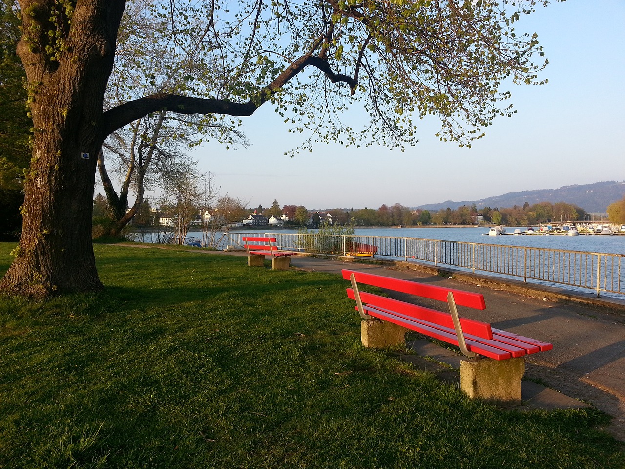 国际环境中 国际环境中