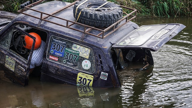 人也仍然保 人也仍然保