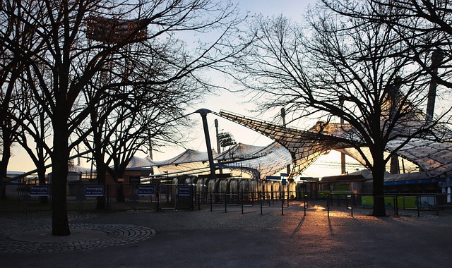 在意甲联赛 在意甲联赛