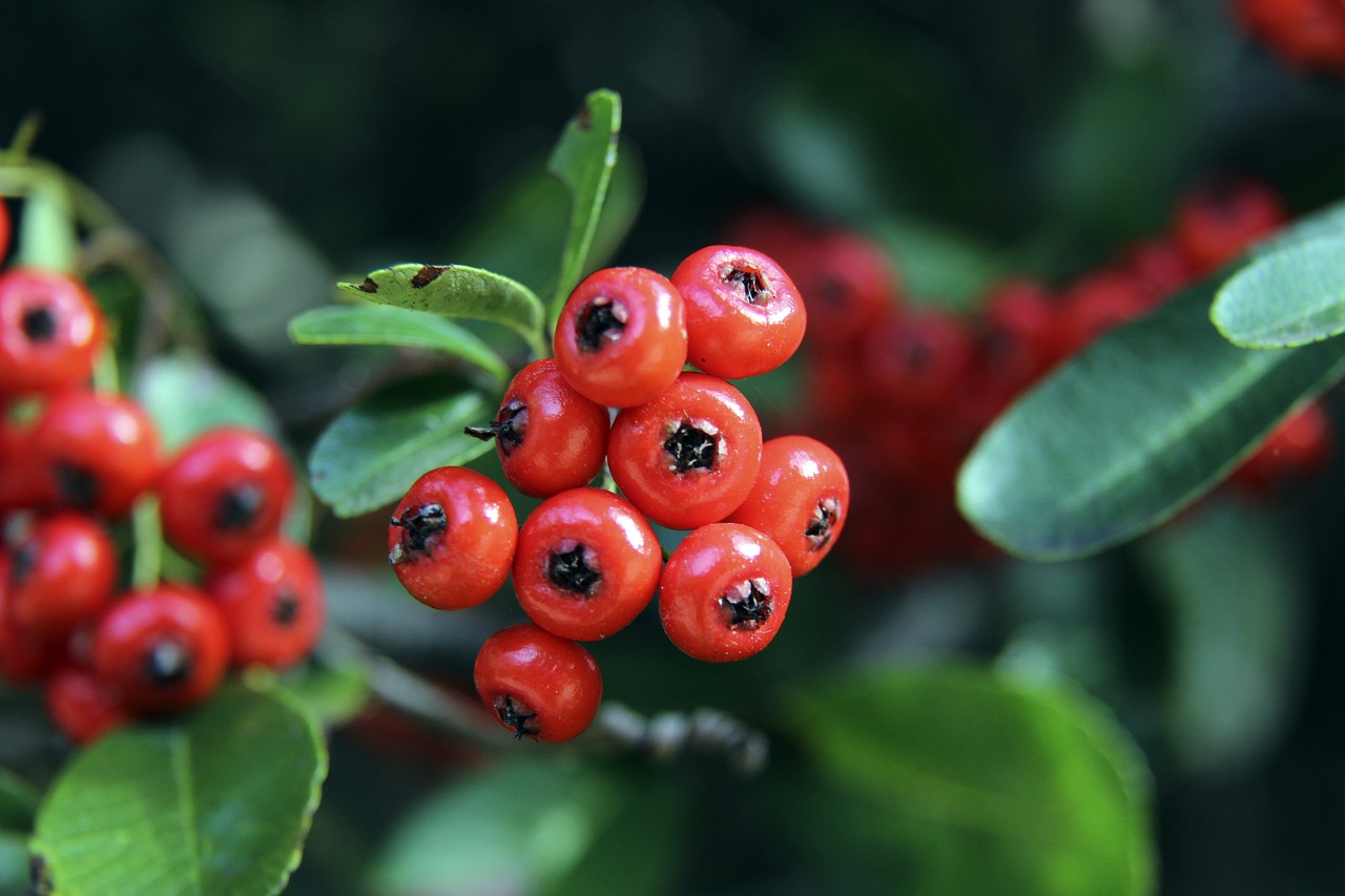 东京奥运会 东京奥运会