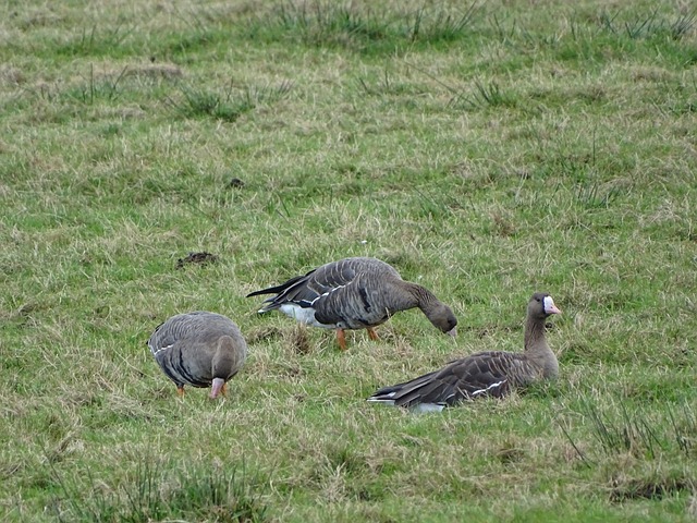 在篮球场上 在篮球场上