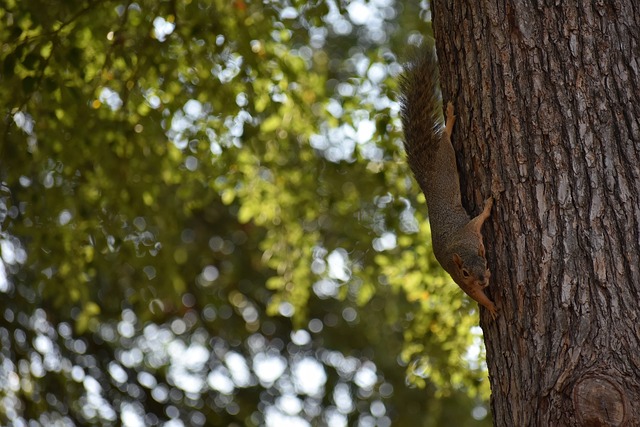 荐专家预测 荐专家预测